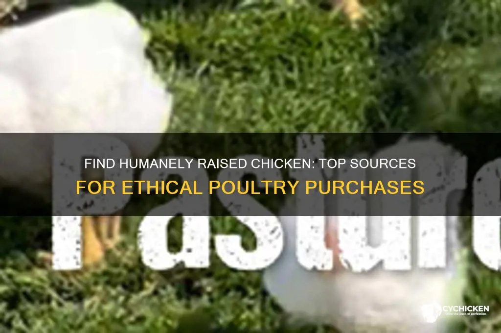 where can i buy humanely raised chicken