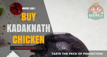 Where to Buy Kadaknath Chicken: Top Sources and Tips