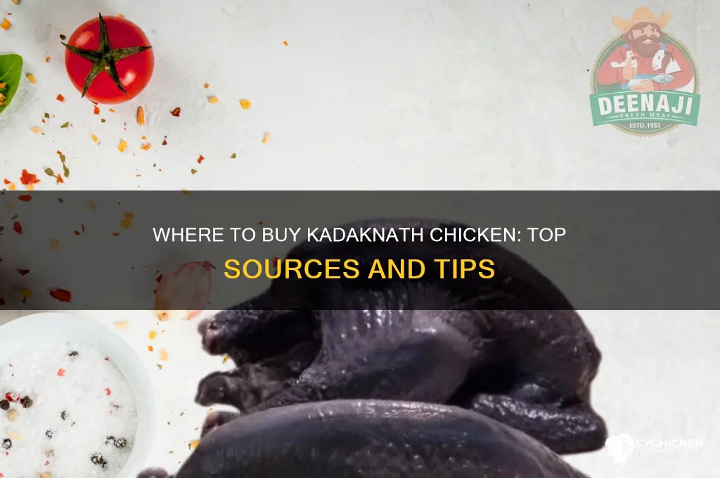 where can i buy kadaknath chicken