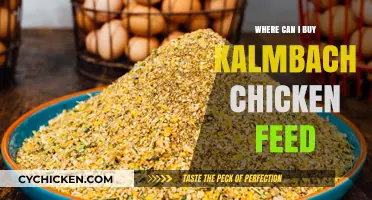 Where to Buy Kalmbach Chicken Feed: Top Retailers and Online Options