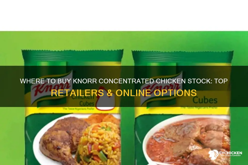where can i buy knorr concentrated chicken stock