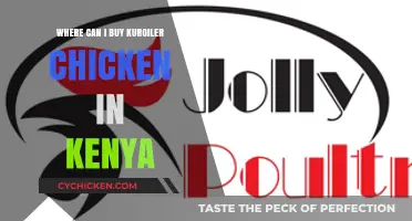 Where to Buy Kuroiler Chickens in Kenya: A Comprehensive Guide