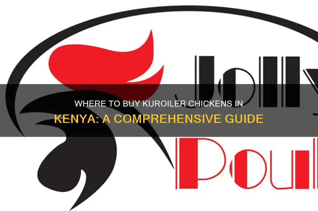 where can i buy kuroiler chicken in kenya