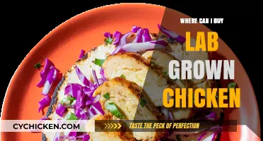 Where to Buy Lab-Grown Chicken: A Sustainable Food Guide