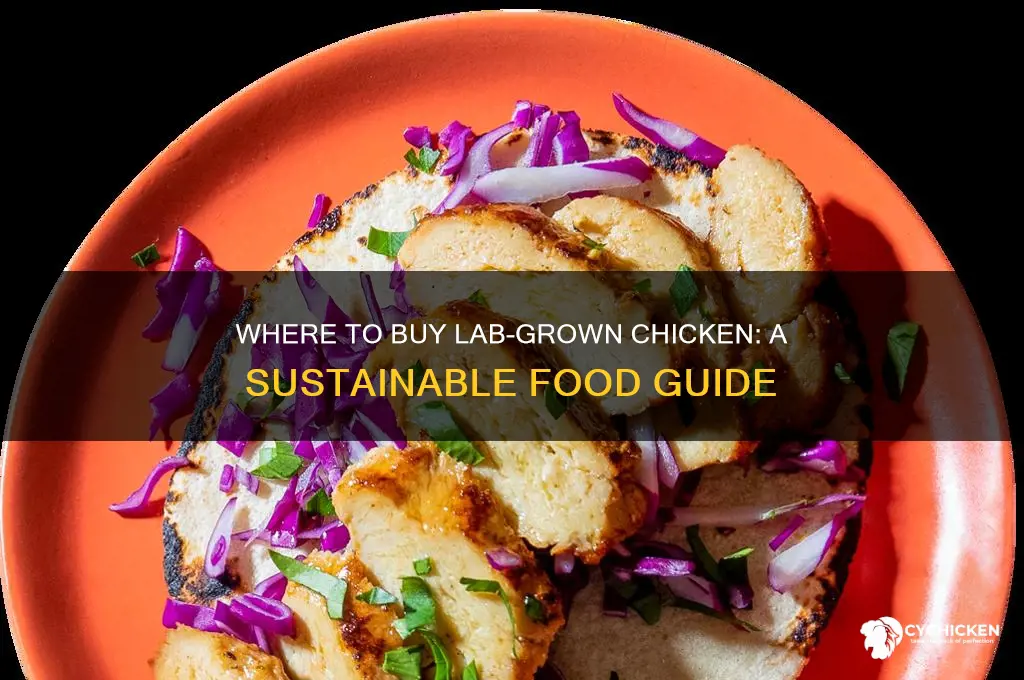 where can i buy lab grown chicken