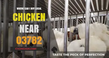 Discover Fresh Local Chicken Sources Near 03782: Your Guide