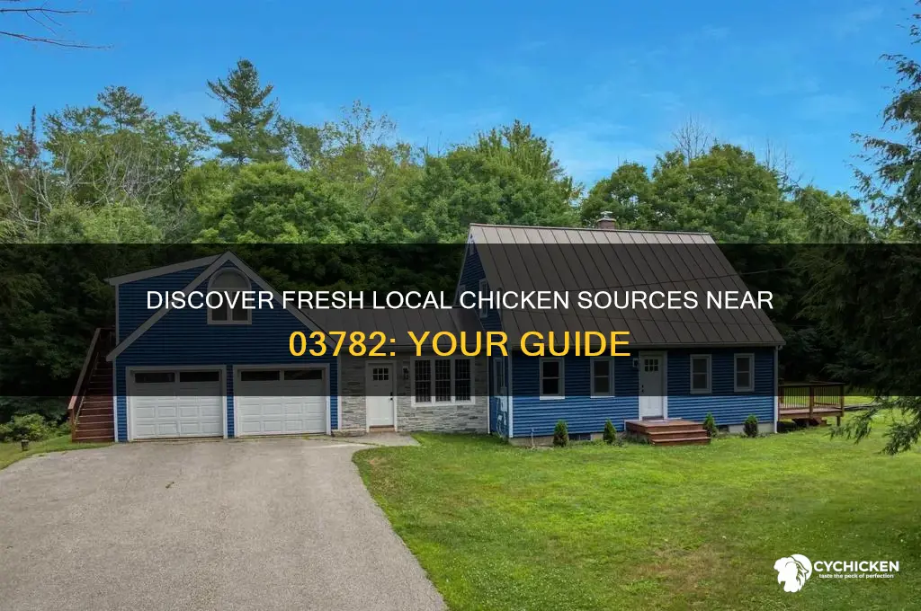 where can i buy local chicken near 03782
