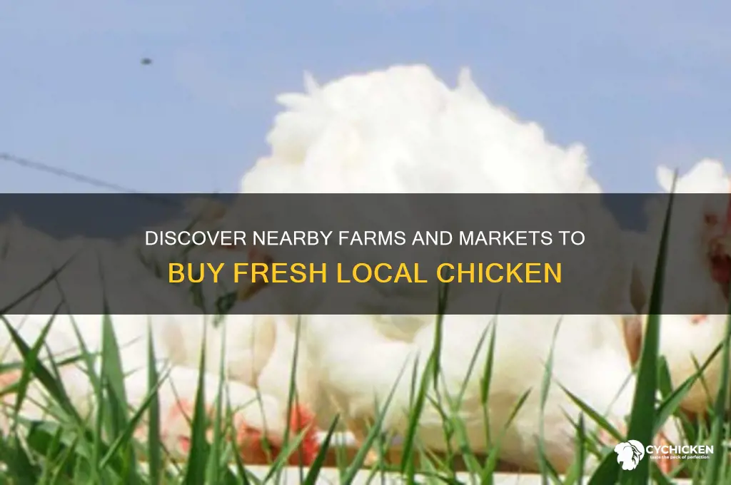 where can i buy local chicken