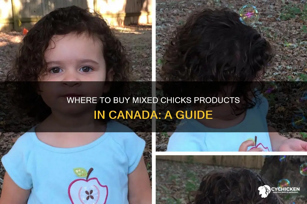 where can i buy mixed chicks in canada