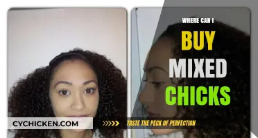 Where to Buy Mixed Chicks Products: A Comprehensive Shopping Guide