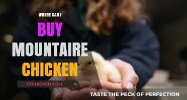 Where to Buy Mountaire Chicken: Top Retailers and Locations