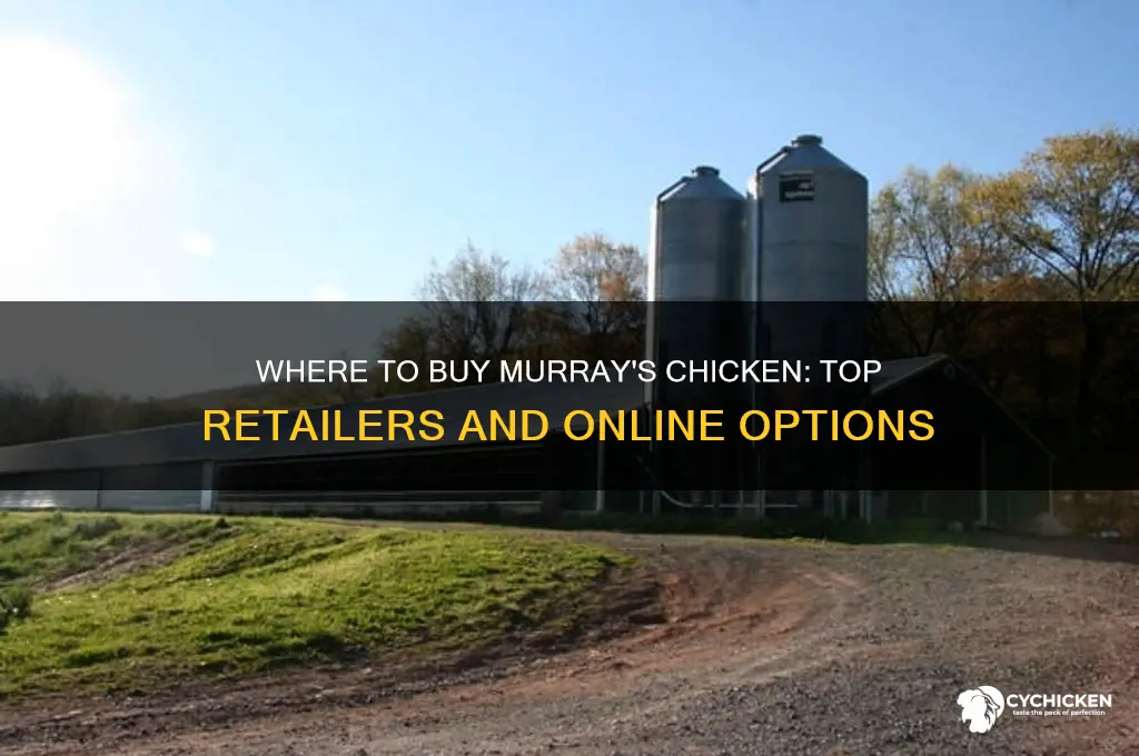 where can i buy murray