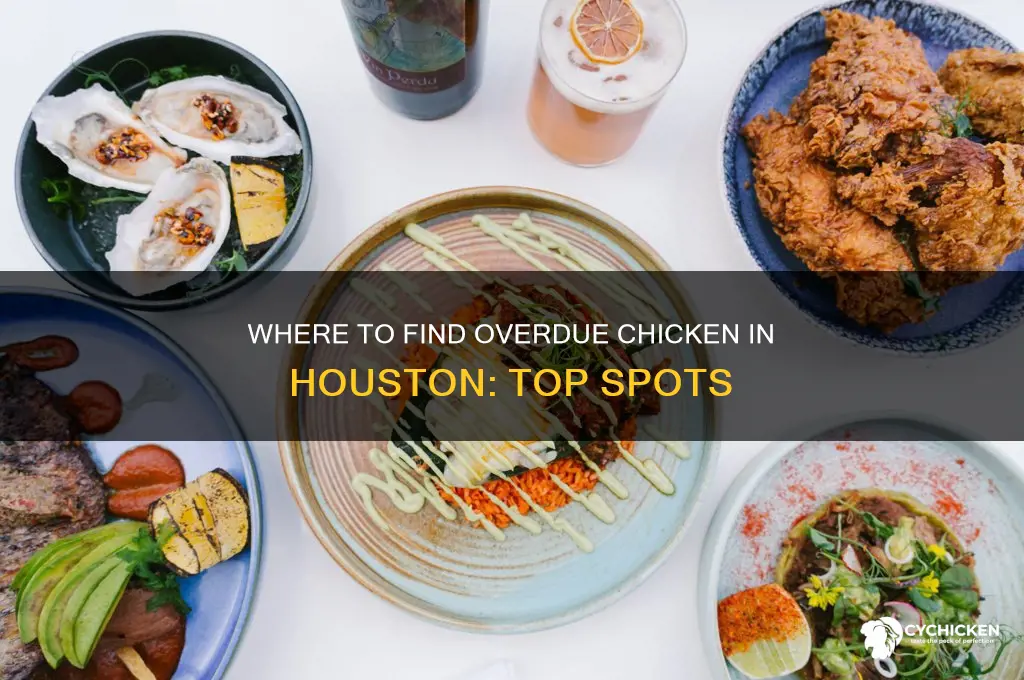 where can i buy oerdue chicken in houston