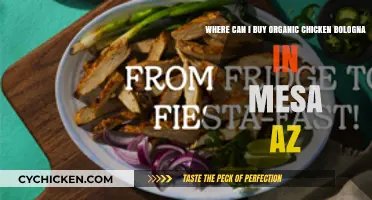 Discover Organic Chicken Bologna in Mesa, AZ: Top Local Sources