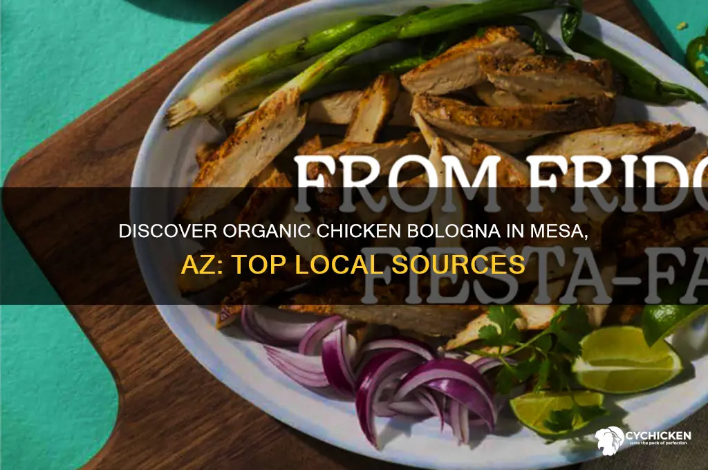 where can i buy organic chicken bologna in mesa az