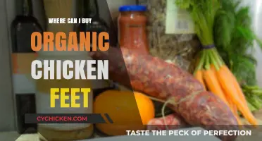 Where to Buy Organic Chicken Feet: Top Retailers and Tips