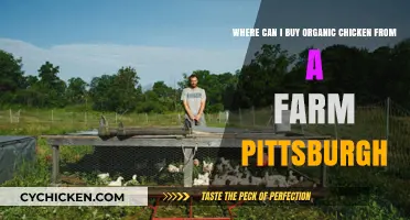 Discover Local Farms Selling Organic Chicken in Pittsburgh: A Guide