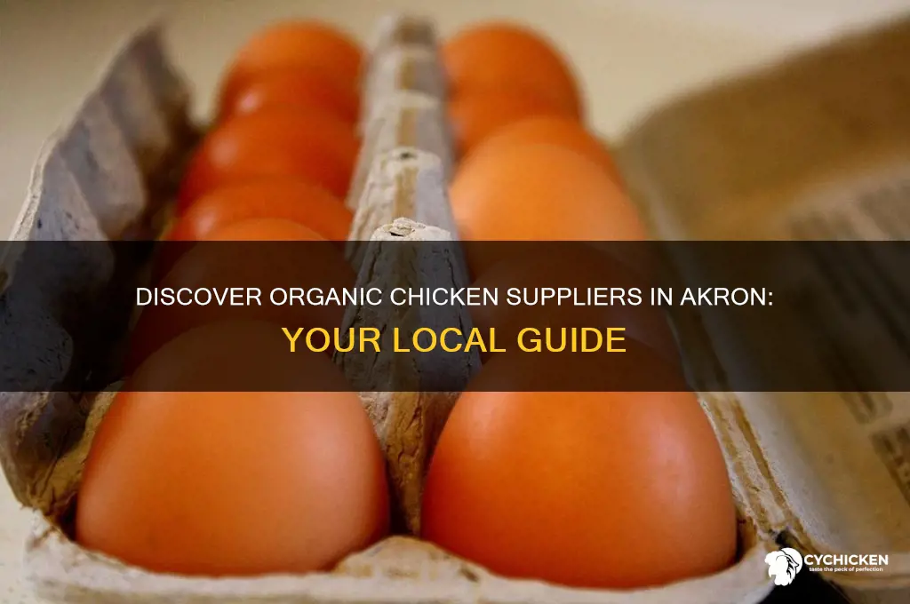 where can i buy organic chicken in akron area