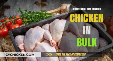 Top Organic Chicken Bulk Suppliers: Where to Buy in Large Quantities
