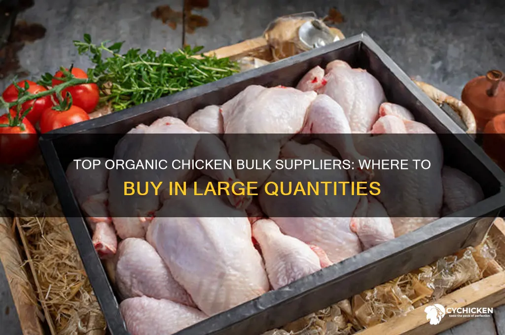 where can i buy organic chicken in bulk