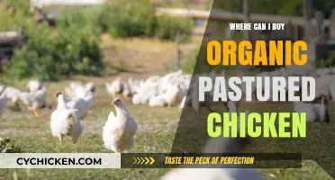 Find Organic Pastured Chicken: Top Sources for Healthy, Sustainable Poultry