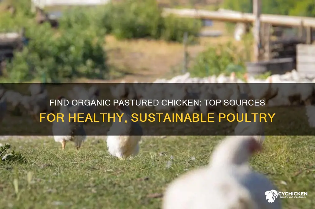 where can i buy organic pastured chicken