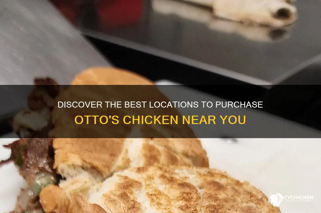 where can i buy otto