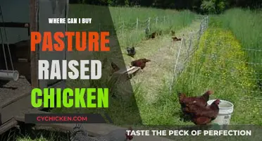 Discover Local Sources for Pasture-Raised Chicken Near You