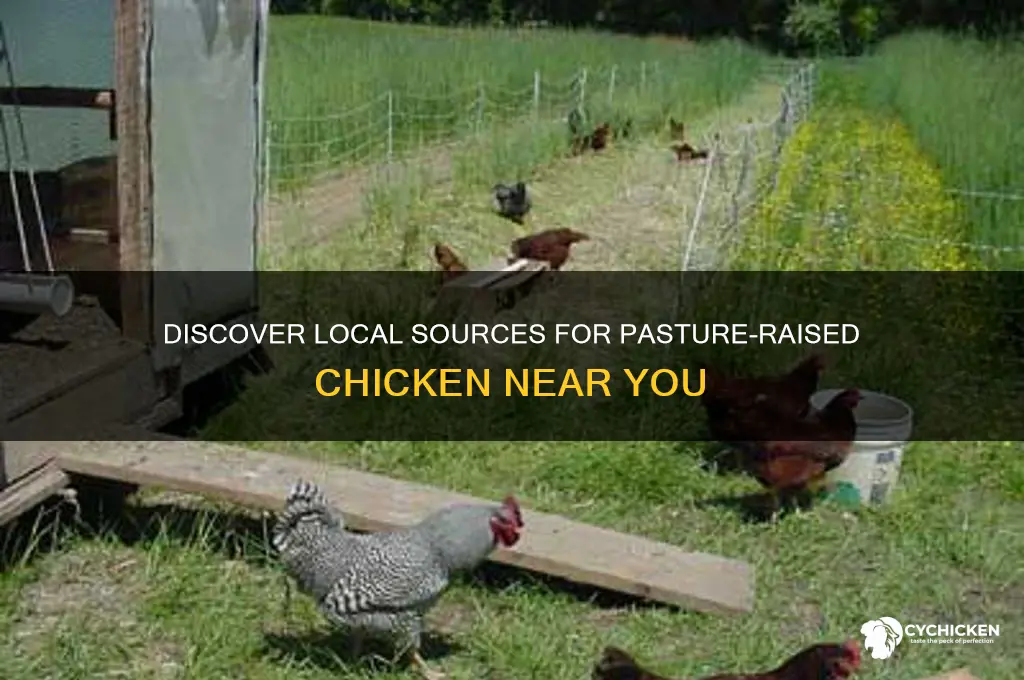 where can i buy pasture raised chicken