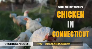 Find Fresh Pastured Chicken in Connecticut: Top Local Sources