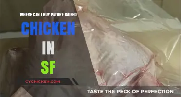 Where to Find Pasture-Raised Chicken in San Francisco: Top Spots