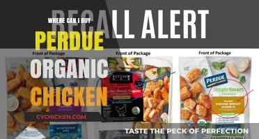 Where to Buy Perdue Organic Chicken: Top Retailers and Tips