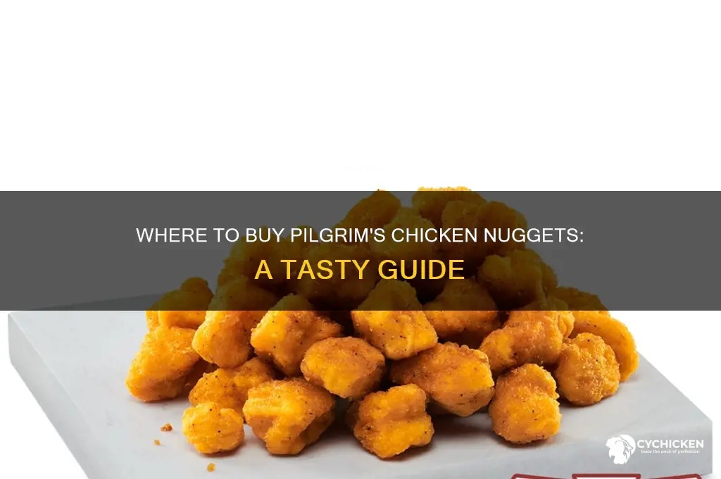 where can i buy pilgrim
