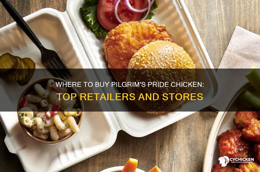where can i buy pilgrim
