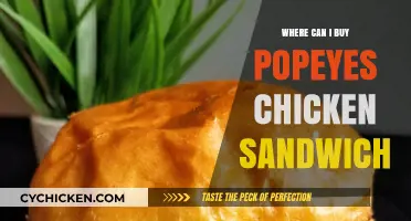 Where to Buy Popeyes Chicken Sandwich: Locations and Tips