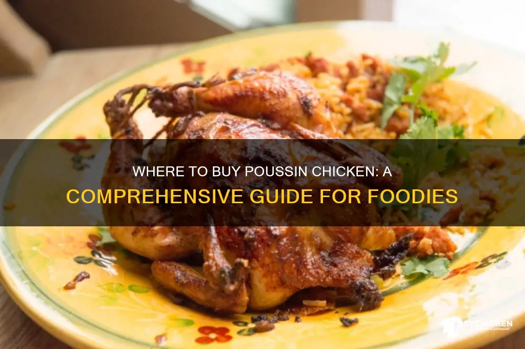 where can i buy poussin chicken