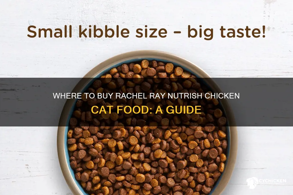 where can i buy rachel ray nutrish chicken caat food