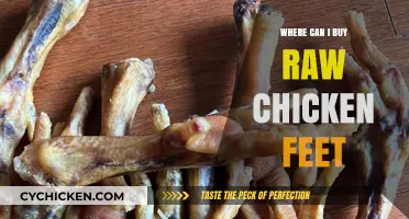 Where to Buy Raw Chicken Feet: A Comprehensive Guide