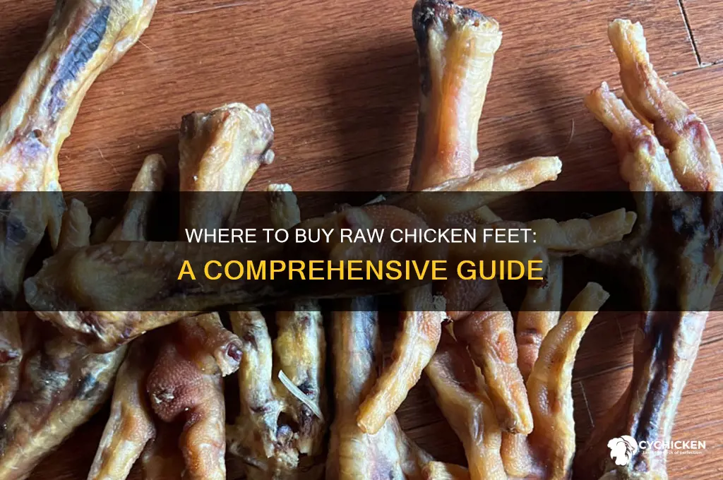 where can i buy raw chicken feet