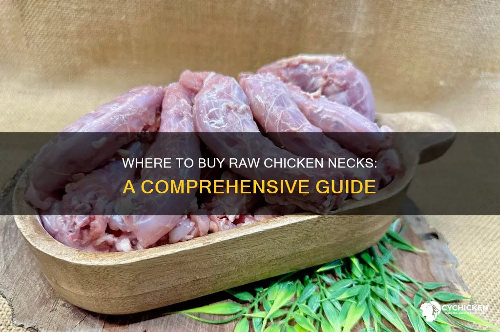 where can i buy raw chicken necks