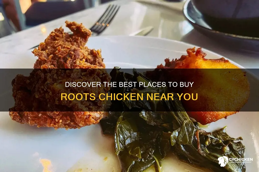 where can i buy roots chicken