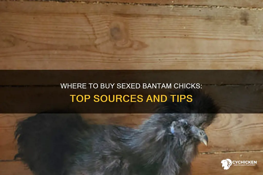 where can i buy sexed bantam chicks