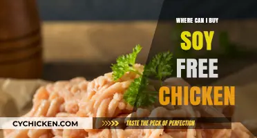 Soy-Free Chicken Options: Where to Buy and Enjoy Safely