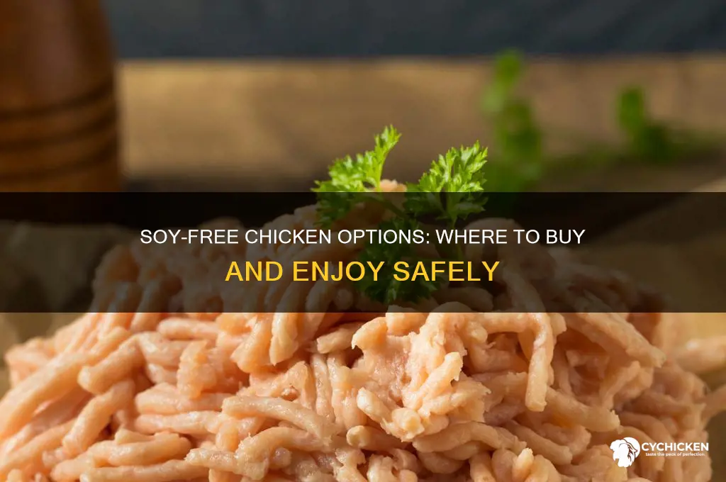 where can i buy soy free chicken
