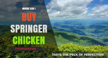Where to Buy Springer Chicken: Top Retailers and Online Sources