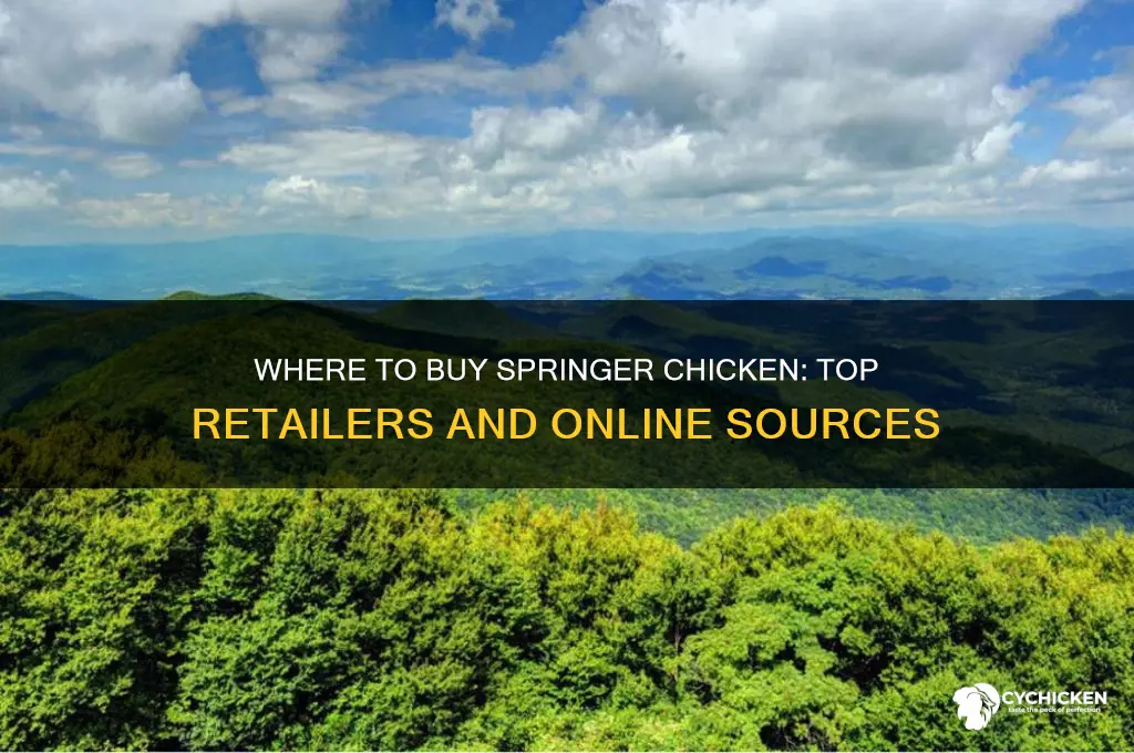 where can i buy springer chicken