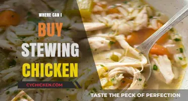 Where to Buy Stewing Chicken: Top Retailers and Tips