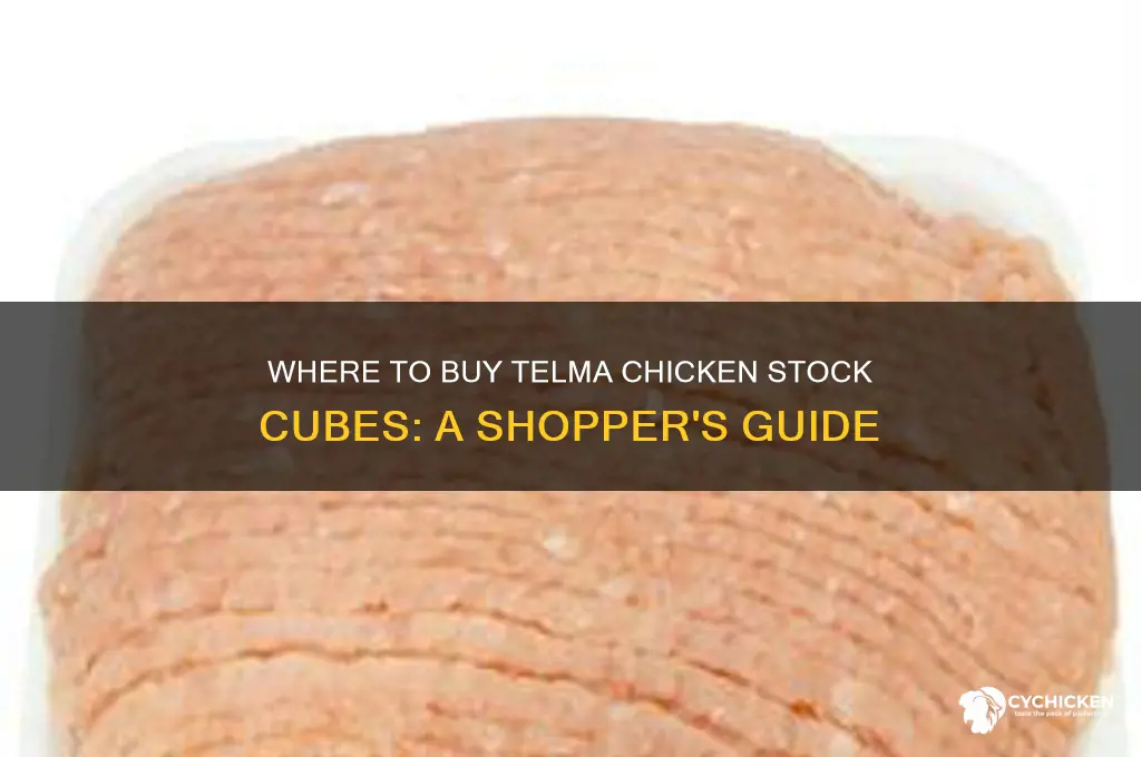 where can i buy telma chicken stock cubes