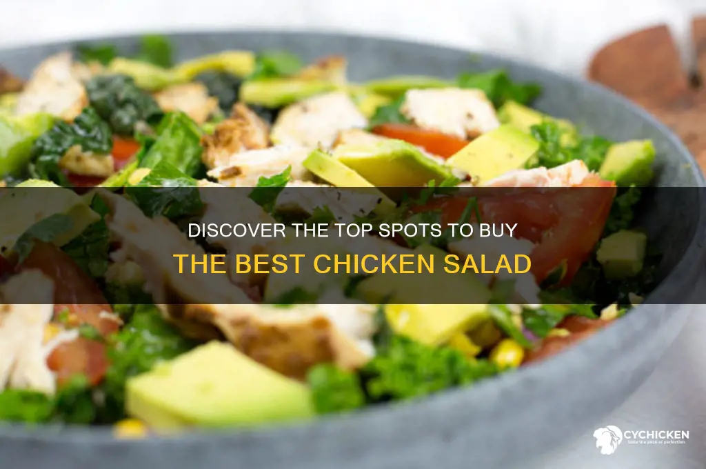 where can i buy the best chicken salad