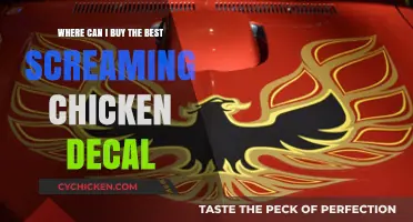Top Spots to Buy the Best Screaming Chicken Decal Online